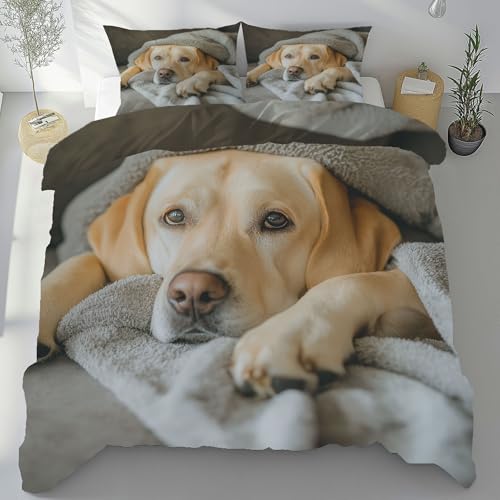 Tyafsgvqo Hundemotiv Bügelfrei Bettwäsche 3 Teilig, Haustier Labrador Bettbezug 135x200 cm, Hundeliebhaber Bettwäsche Set Weich Atmungsaktiv, Wendebettwäsche mit 2 Kissenbezug 80x80 cm Tyafsgvqo Hundemotiv Bügelfrei Bettwäsche 3 Teilig, Haustier Labrador Bettbezug 135x200 cm, Hundeliebhaber Bettwäsche Set Weich Atmungsaktiv, Wendebettwäsche mit 2 Kissenbezug 80x80 cm von Tyafsgvqo
