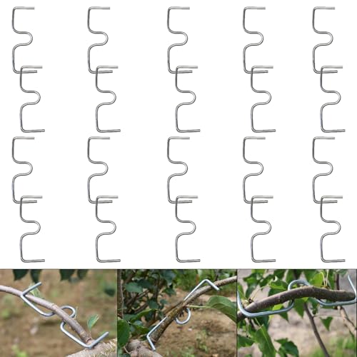 Tyafzzn 20 Stück Astspreizer M13cm, Astbieger für Obstbäume, M-Formiger Astspreizer, Astklammern für Obstbäume, Zweigspreizer, Astbiegewerkzeug zum Formen von Obstbaumzweigen von Tyafzzn