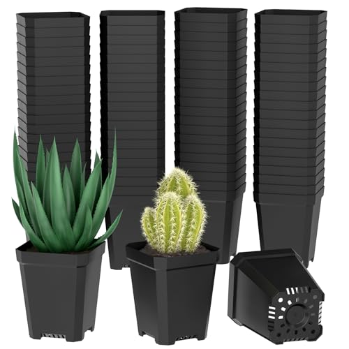 100 PCS Kunststoff Anzuchttöpfe Eckig 5.5 CM, Anzuchttöpfe Klein Plastik mit Ablauflöchern, Pflanztöpfe Anzucht, Kleine Blumentöpfe Anzuchttopf für Stecklinge, Umpflanzen, Gemüse, Sukkulenten von Tyanlenr