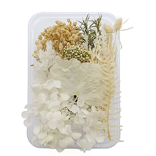 Tyenaza Getrocknete Blumen, Künstlicher Blumenstrauß, Exquisite, Schöne, Umweltfreundliche, Farbige Trockenblumen Für DIY-Handwerk, Heimdekoration Tyenaza Getrocknete Blumen, Künstlicher Blumenstrauß, Exquisite, Schöne, Umweltfreundliche, Farbige Trockenblumen Für DIY-Handwerk, Heimdekoration von Tyenaza