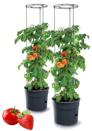 Tymar Tomatentopf, Tomatenkübel, Tomatenpflanze, Tomaten Balkon, mit Rankhilfe Rangitter, mit wasserspeicher (2 Stück, ø 30 cm) von Tymar