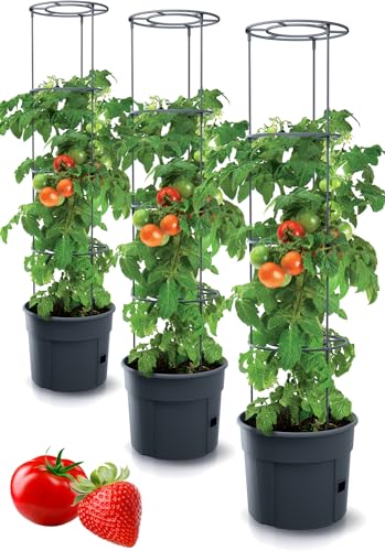 Tymar Tomatentopf, Tomatenkübel, Tomatenpflanze, Tomaten Balkon, mit Rankhilfe Rangitter, mit wasserspeicher (3 Stück, ø 35 cm) von Tymar