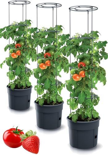 Tymar Tomatentopf, Tomatenkübel, Tomatenpflanze, Tomaten Balkon, mit Rankhilfe Rangitter, mit wasserspeicher (3 Stück, ø 40 cm) von Tymar