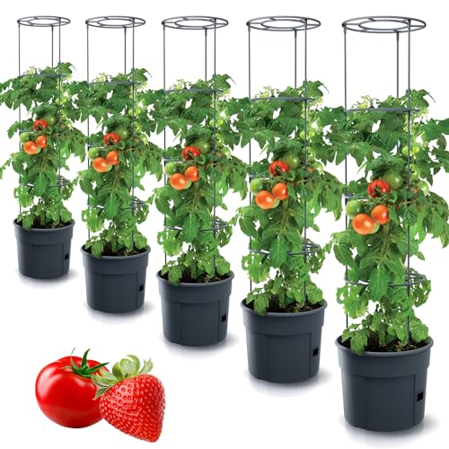 Tymar Tomatentopf, Tomatenkübel, Tomatenpflanze, Tomaten Balkon, mit Rankhilfe Rangitter, mit wasserspeicher (5 Stück, ø 40 cm) von Tymar