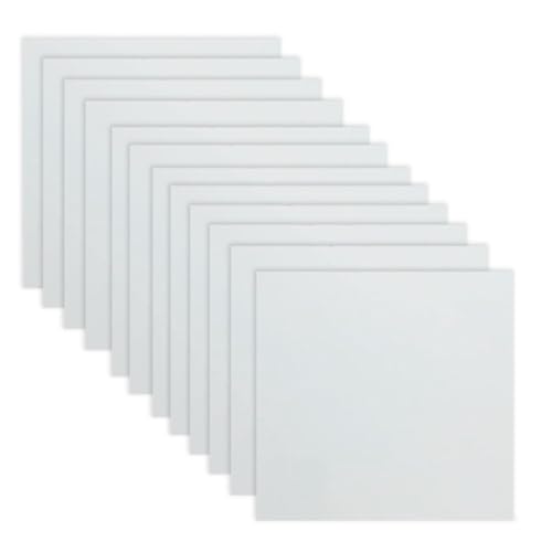 Tynmoel 12 Blätter 10mil Mylar-Blatt 12 X 12 Milchig Durchscheinendes Leeres PET-Schablonenherstellungsblatt (10mil) von Tynmoel