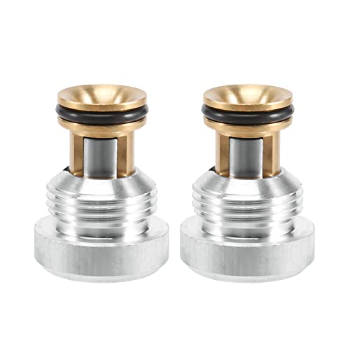 Tynmoel 2 StüCke ÖLentlastungs Druck Ventil 059103175F für A4 A5 A6 A8 Q5 für für 2.5 TDI AYM AFB AKN 059103175A von Tynmoel