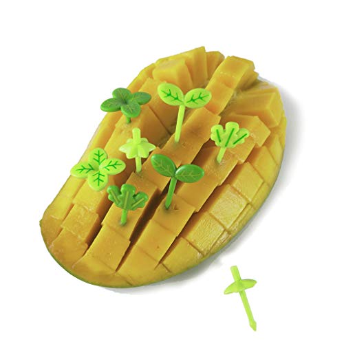 8 Stück Obstgabel Zahnstocher Blätter Kunststoff Dekoration Lunchbox Bento Zubehör Kleiner Salat Tiny Fork Mini Cake Picks Für KinderDauerhaft Nützlich und praktisch Nettes Design Praktisches Desi von U-K