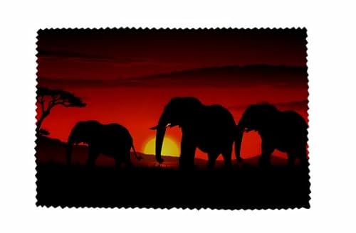 U24 Brillenputztuch Elefant Motiv Nr. 12 Glasreinigungstuch Microfasertuch von U24