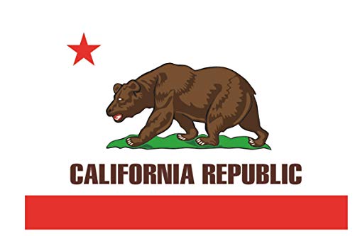 U24 Motorradflagge Kalifornien Fahne Flagge 20 x 30 cm von U24