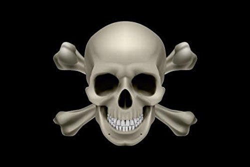 U24 Motorradflagge Pirat Totenkopf Fahne Flagge 20 x 30 cm von U24