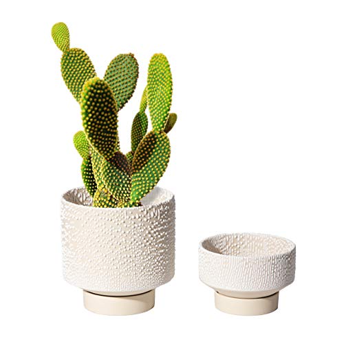 UBEE Übertopf Keramik Blumentopf für Zimmerpflanzen | 14 cm + 12,4 cm Blumentöpfe mit Drainageloch und Untersetzer für Aloe, Schlangenpflanzen, Pothos, Orchidee, Beige mit weißem Glasurpunkt von UBEE