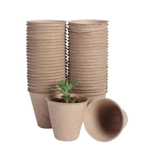 UBOHUZ Abbaubare Anzuchttöpfe Biologisch abbaubare Pflanzentöpfe Keimschale Etiketten Samen Aussaat Gewächshaus Samen Box Gartenbedarf(Light Brown-40PCS) von UBOHUZ