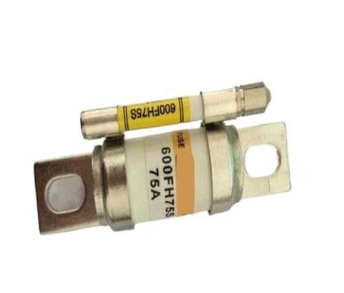 600FH75S 600FH100S 600FH125S 600FH150S 600FH20S 600FH25S 600FH30S 600FH35S 600FH55S 600FH50S Sicherung(600FH25S) von UCJTPCVI