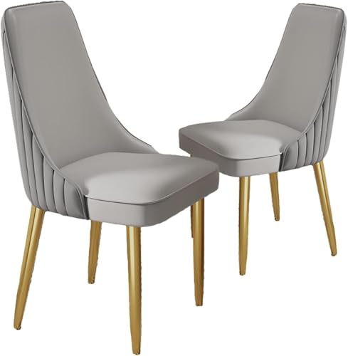 UCKYSU AMENAS Küche und Esszimmer Stühle Esszimmerstühle 2er Set Akzentstühle PU Leder Metallbeinen for Büro Lounge Esszimmer Küche Schlafzimmer(L) von UCKYSU