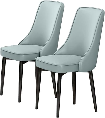 UCKYSU AMENAS Küche und Esszimmer Stühle Esszimmerstühle 2er Set PU Leder Hohe Rückenlehne Gepolsterte Weiche Sitzfläche Beine Kohlenstoffstahl Wohnzimmer(Light Blue) von UCKYSU