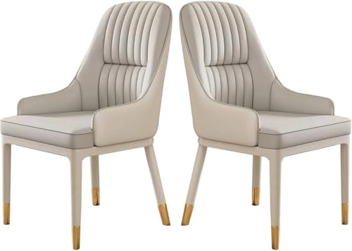 UCKYSU AMENAS Küche und Esszimmer Stühle Esszimmerstühle Kunstleder 2er Set Moderne Küchenstühle Mid Century Stil Mit Metallbeinen Und Armlehne(Light Gray) von UCKYSU