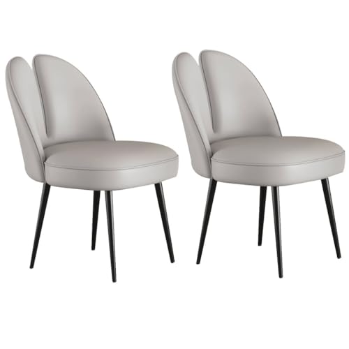 UCKYSU AMENAS Küche und Esszimmer Stühle Katzenklauen Leder Küchen Und Esszimmerstühle 2er Set Schlafzimmer Ehezimmer Balkon Sofa Stuhl Stabile Metallbeine Aus Karbonstahl(Light Gray) von UCKYSU