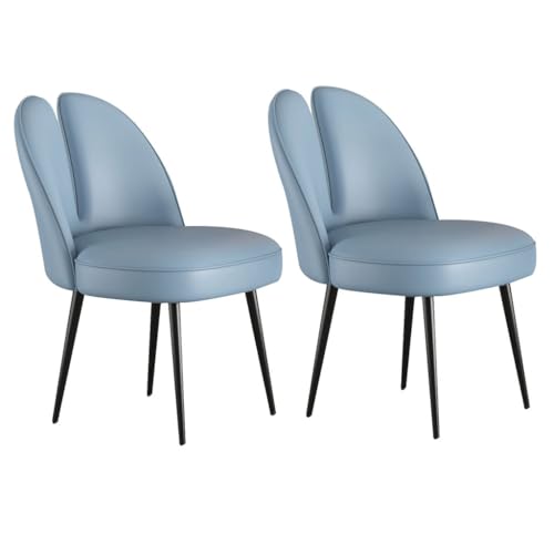 UCKYSU AMENAS Küche und Esszimmer Stühle Katzenklauen Leder Küchen Und Esszimmerstühle 2er Set Schlafzimmer Ehezimmer Balkon Sofa Stuhl Stabile Metallbeine Aus Karbonstahl(Sky Blue) von UCKYSU