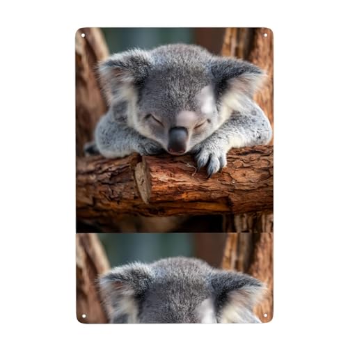 UDFKGLP Dekoratives Gemälde, Motiv: schlafendes Koala-Muster, 20,3 x 30,5 cm, aus Weißblech, verschleißfest und langlebig von UDFKGLP