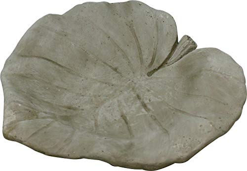 Vogeltränke Blatt Lotus, Zement, grau, 21,5 cm, Vogel-Tränke Trinkschale Vogelbad Garten Tränke von UDIG