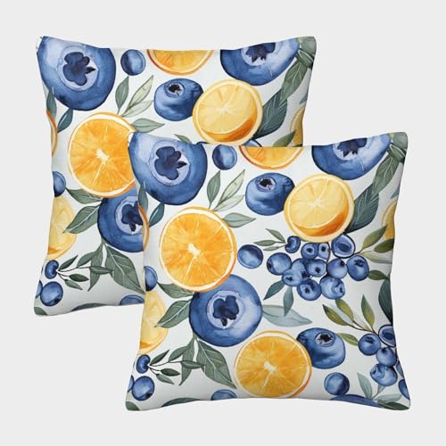 UENDOKRNN Zitrone Kissenbezüge 2er Set Dekokissenbezug Sofakissen für Sofa Schlafzimmer Kissenhülle 40x40cm von UENDOKRNN