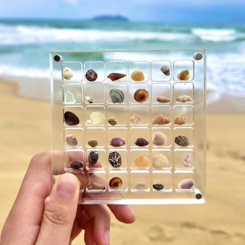 UEPOA Seashell Display Box, 36 Fächer Magnetische Muschel Vitrin Acrylic Display Organizer Portable Muschel Display Box Multifunktionale Aufbewahrungsbox für Muschel Nagel Schmuck UEPOA Seashell Display Box, 36 Fächer Magnetische Muschel Vitrin Acrylic Display Organizer Portable Muschel Display Box Multifunktionale Aufbewahrungsbox für Muschel Nagel Schmuck von UEPOA