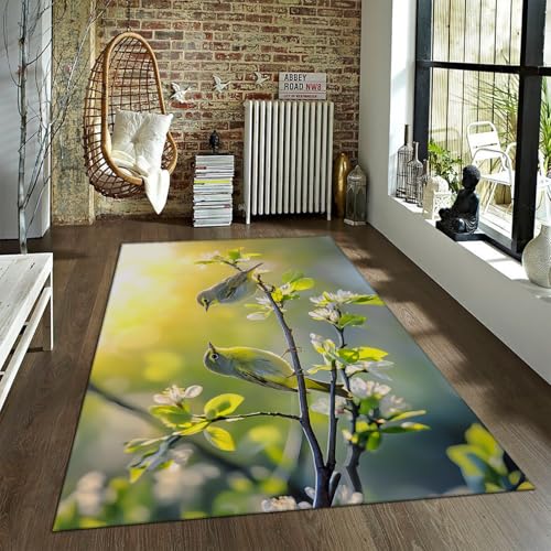 UERWOWELL Frühling Thema Bereich Teppich mit Singvogel auf Blumenzweig Leichte waschbare Teppiche Balkon Eingangsbereich Teppiche mit Gummirücken 180x300cm UERWOWELL Frühling Thema Bereich Teppich mit Singvogel auf Blumenzweig Leichte waschbare Teppiche Balkon Eingangsbereich Teppiche mit Gummirücken 180x300cm von UERWOWELL