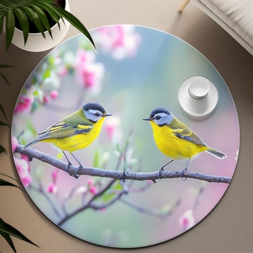 UERWOWELL Rosa Kirschblüten 150cm Runder Teppich Frühling Obstgarten Blumen Niedliche Vögel Muster Dünne Fußmatten für Wohnzimmer Balkon Kein Verschütten UERWOWELL Rosa Kirschblüten 150cm Runder Teppich Frühling Obstgarten Blumen Niedliche Vögel Muster Dünne Fußmatten für Wohnzimmer Balkon Kein Verschütten von UERWOWELL