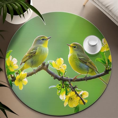 UERWOWELL Waldstil 160cm Runder Teppich Grün Frühling Gelb Blumen Niedliche Vögel Muster Dünne Fußmatten für Wohnzimmer Schlafsaal Balkon Kein Verschütten von UERWOWELL