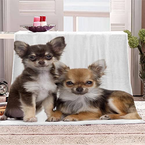 Decke 150x200 cm Chihuahua Kuscheldecke Flauschig 3D Digitaldruck Weiche Warme Mikrofaser Flanelldecke Der Hund Motiv Wohndecke Sofadecke Couchdecke Blanket für Erwachsene von UETONE