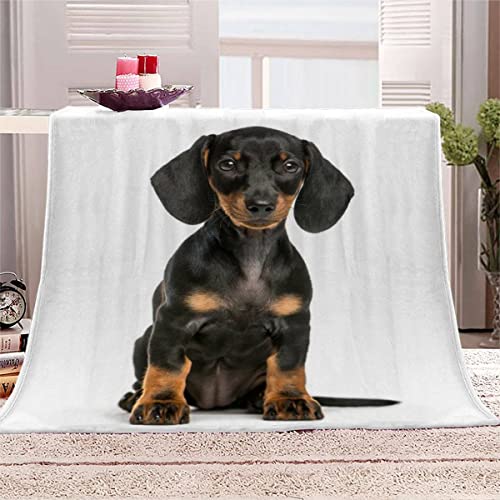 Decke 150x200 cm Dackel Kuscheldecke Flauschig 3D Digitaldruck Weiche Warme Mikrofaser Flanelldecke Der Hund Motiv Wohndecke Sofadecke Couchdecke Blanket für Erwachsene von UETONE