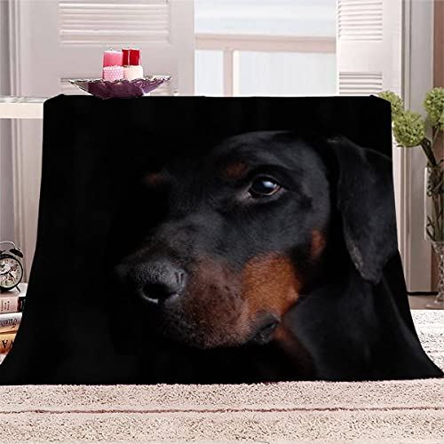 Decke 150x200 cm Dobermann Pinscher Kuscheldecke Flauschig 3D Digitaldruck Weiche Warme Mikrofaser Flanelldecke Der Hund Motiv Wohndecke Sofadecke Couchdecke Blanket für Erwachsene von UETONE