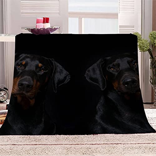 Decke 150x200 cm Dobermann Pinscher Kuscheldecke Flauschig 3D Digitaldruck Weiche Warme Mikrofaser Flanelldecke Der Hund Motiv Wohndecke Sofadecke Couchdecke Blanket für Erwachsene von UETONE