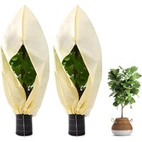 2er Set Winterschutz für Kübelpflanzen 60x80cm Winterschutz für Pflanzen mit Reißverschluss und Kordelzug Reißfester Pflanzenschutz Beige 2er Set Winterschutz für Kübelpflanzen 60x80cm Winterschutz für Pflanzen mit Reißverschluss und Kordelzug Reißfester Pflanzenschutz Beige von UGREAT