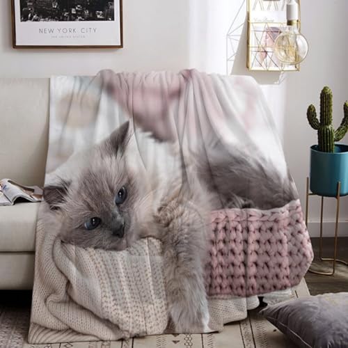 Kuscheldecke Mit Katzenmotiv 130x150cm, Sofa Decke Mit Tiermotiv, Weiche Warme Fleecedecke für Erwachsene, Warme Decken für Herbst Winter (B, 130x150cm) von UGZDEA