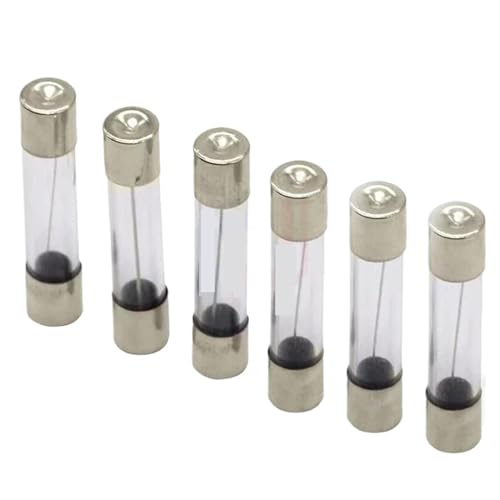 Glasrohrsicherungen, Schnellschmelzsicherungen, 5 x 20 mm und 6 x 30 mm, 250 V, 0,5 1 2 3 4 5 6 8 10 15 20 25 30 A, 20 Stück (5 x 20 mm, 1,5 A) von UIHFIDIU