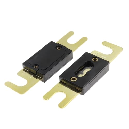 Sicherungshalter für Auto, Bolzensicherung, Audio-Sicherungshalter für Kfz, mit Sicherungen von 40, 50, 80, 100, 125, 150, 250, 300, 400 A (2 Stück, 100 A) von UIHFIDIU