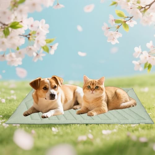 UIQELYS Kühlmatte für Hunde Eisgrün, ohne Gel, Oberseite aus kühlem Stoff und Rückseite aus Samt, waschbar, Kühlkissen für Hund, Sommerlinderung für Welpen und Kätzchen (Eisgrün, A-91X58cm) UIQELYS Kühlmatte für Hunde Eisgrün, ohne Gel, Oberseite aus kühlem Stoff und Rückseite aus Samt, waschbar, Kühlkissen für Hund, Sommerlinderung für Welpen und Kätzchen (Eisgrün, A-91X58cm) von UIQELYS