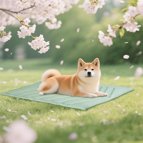 UIQELYS Kühlmatte für Hunde Eisgrün, ohne Gel, Oberseite aus kühlem Stoff und Rückseite aus Samt, waschbar, Kühlkissen für Hund, Sommerlinderung für Welpen und Kätzchen (Eisgrün, B-122X71cm) UIQELYS Kühlmatte für Hunde Eisgrün, ohne Gel, Oberseite aus kühlem Stoff und Rückseite aus Samt, waschbar, Kühlkissen für Hund, Sommerlinderung für Welpen und Kätzchen (Eisgrün, B-122X71cm) von UIQELYS