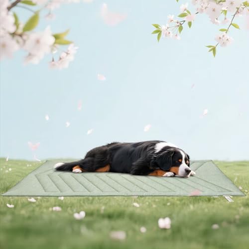 UIQELYS Kühlmatte für Hunde Eisgrün, ohne Gel, Oberseite aus kühlem Stoff und Rückseite aus Samt, waschbar, Kühlkissen für Hund, Sommerlinderung für Welpen und Kätzchen (Eisgrün, C-150X102cm) von UIQELYS
