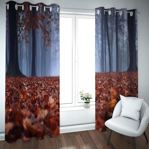 UIRINGART Verdunkelungsvorhänge im pastoralen Stil Mysteriöser nebliger Wald voller gefallener Blätter Muster Ösen-Fenstervorhänge für Wohnzimmer 2 Paneele B132xH160cm UIRINGART Verdunkelungsvorhänge im pastoralen Stil Mysteriöser nebliger Wald voller gefallener Blätter Muster Ösen-Fenstervorhänge für Wohnzimmer 2 Paneele B132xH160cm von UIRINGART