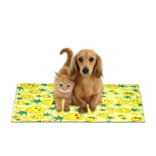UIXENI 65 * 50cm Self Cooling Pet Cooling Mats Bed, Heat Absorbing Waterproof Gel Pillow Pad for Dogs Cats to Keep Ice Cool in Summer von UIXENI