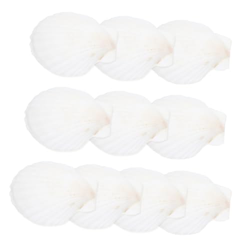 UKCOCO 10 Stück Shell Decoration Set Muscheln groß weihnachtliche hängende Muschelverzierung Seeblaudekorationen schmücken Bastelzubehör selber Machen natürliche Muschelschalen Hülse Weiß UKCOCO 10 Stück Shell Decoration Set Muscheln groß weihnachtliche hängende Muschelverzierung Seeblaudekorationen schmücken Bastelzubehör selber Machen natürliche Muschelschalen Hülse Weiß von UKCOCO