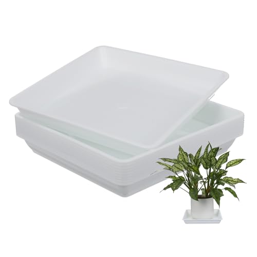 UKCOCO 10 Stück Teiliges Quadratisches Pflanzgefäß Untersetzer aus Hitzebeständigem Kunststoff Robustes Pflanzenuntersetzer Tablett für Innen und Außenbereich Weiß für Sukkulenten und von UKCOCO