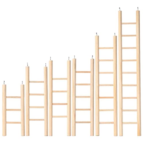 UKCOCO 6stücke Teiliges Holz Vogel Kletterspielzeug Für Papageien Und Nagetiere Sicheres Und Natürliches Material Fördert Bewegung Und Spiel Für Wellensittiche Und Hamster von UKCOCO