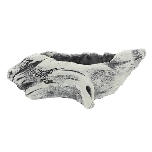 UKCOCO Saftiger Blumentopf Zementpflanzer Pflanzgefäß mit Flacher Schale Kleiner Pflanzentopf saftige Schale Bonsai Pot saftige Töpfe interessanter Blumentopf Sukkulenter Topf Grau UKCOCO Saftiger Blumentopf Zementpflanzer Pflanzgefäß mit Flacher Schale Kleiner Pflanzentopf saftige Schale Bonsai Pot saftige Töpfe interessanter Blumentopf Sukkulenter Topf Grau von UKCOCO