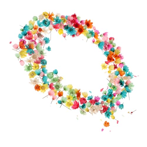 ULDIGI Getrocknete Blumen Rosa Gepresste Blumen Bastelmaterial DIY Deko Blumenstücke Trockenblumen Für Handwerk Material Für Blumenkunst von ULDIGI