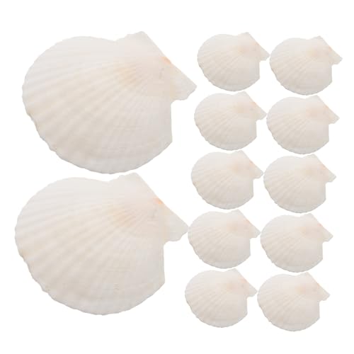 ULDIGI 21 Stück Teiliges Natürliche Weiße Jakobsmuscheln DIY Bastelset Langlebige Deko für Aquarium Strand Hochzeitsdeko Kreative Handwerksprojekte von ULDIGI