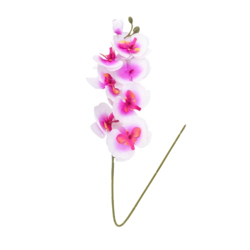 ULDIGI 2stücke Künstliche Orchidee Dekoration Real Touch Phalaenopsis Blumen Weiß Lifelike Imitation Für Innenräume Elegant Für Hochzeit Büro Und Wohnzimmer ULDIGI 2stücke Künstliche Orchidee Dekoration Real Touch Phalaenopsis Blumen Weiß Lifelike Imitation Für Innenräume Elegant Für Hochzeit Büro Und Wohnzimmer von ULDIGI