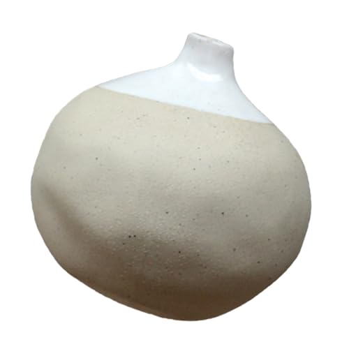 ULDIGI Keramikvase Kleine Für Tischdeko Blumenvase Mit Schmaler Öffnung Pflanzendeko Aus Keramik Für Zuhause ULDIGI Keramikvase Kleine Für Tischdeko Blumenvase Mit Schmaler Öffnung Pflanzendeko Aus Keramik Für Zuhause von ULDIGI